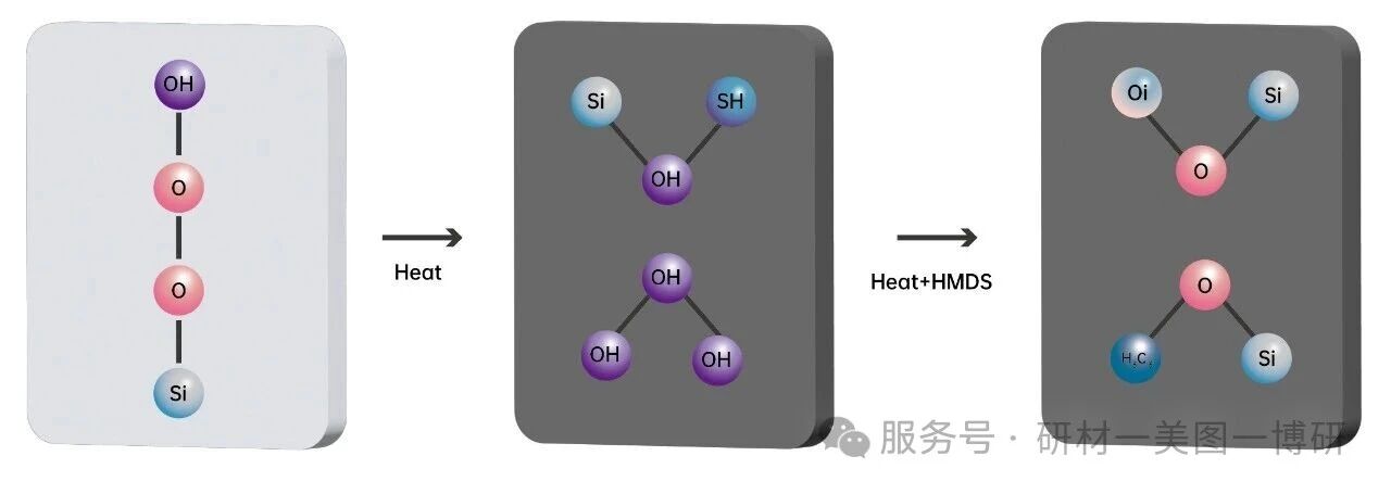微信图片_2026-02-25_161902_603.jpg